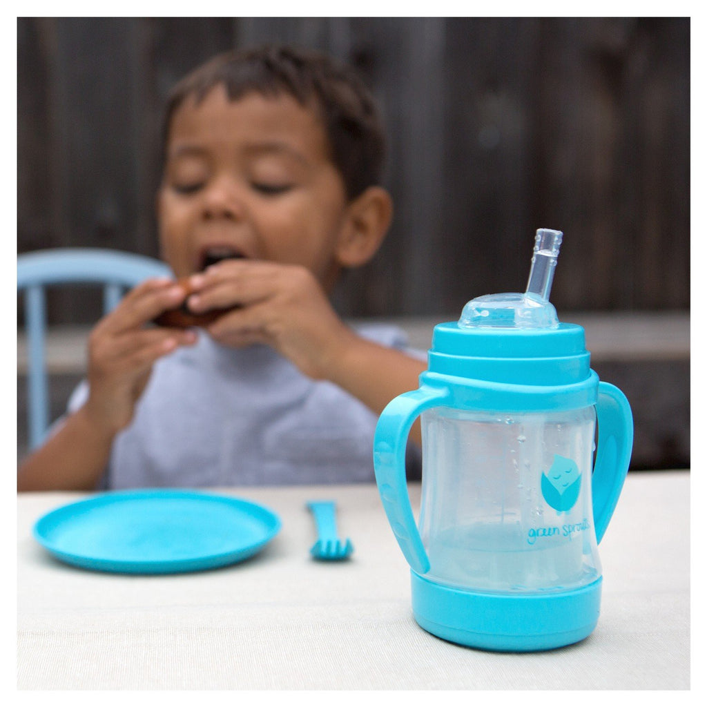 Green Sprouts® Glass Sip & Straw Cup