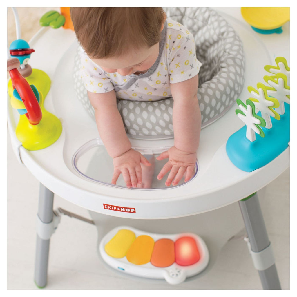 Skip Hop Explore & More Baby's View 3- Stage Activity Center
